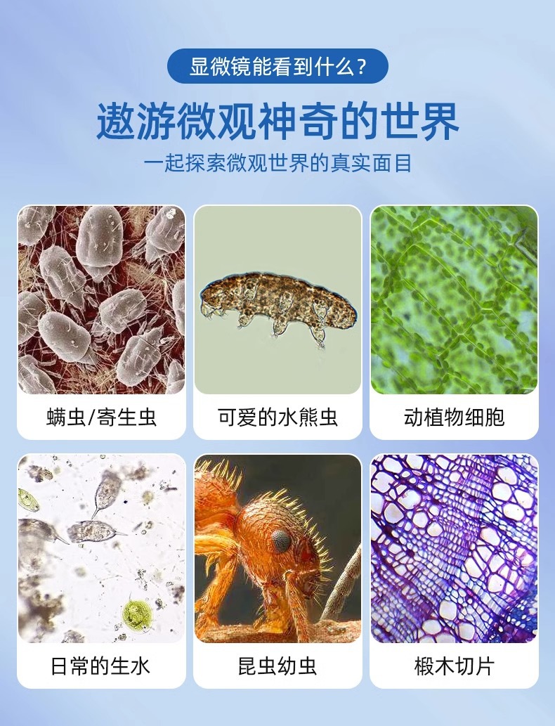 31c4494f64c6dec20c14aa8d42782f64.jpg